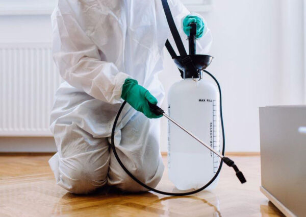 Pest Control Services